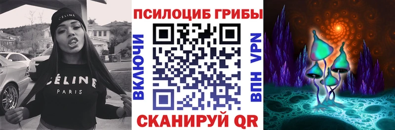 магазин продажи   Заозёрск  Галлюциногенные грибы прущие грибы 